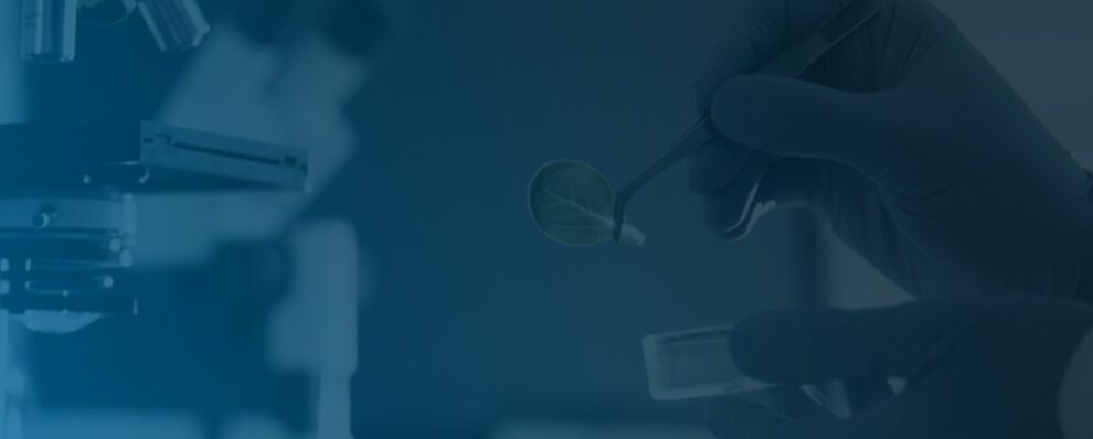 CEPTON soutient le developpement des biotechnologie en france