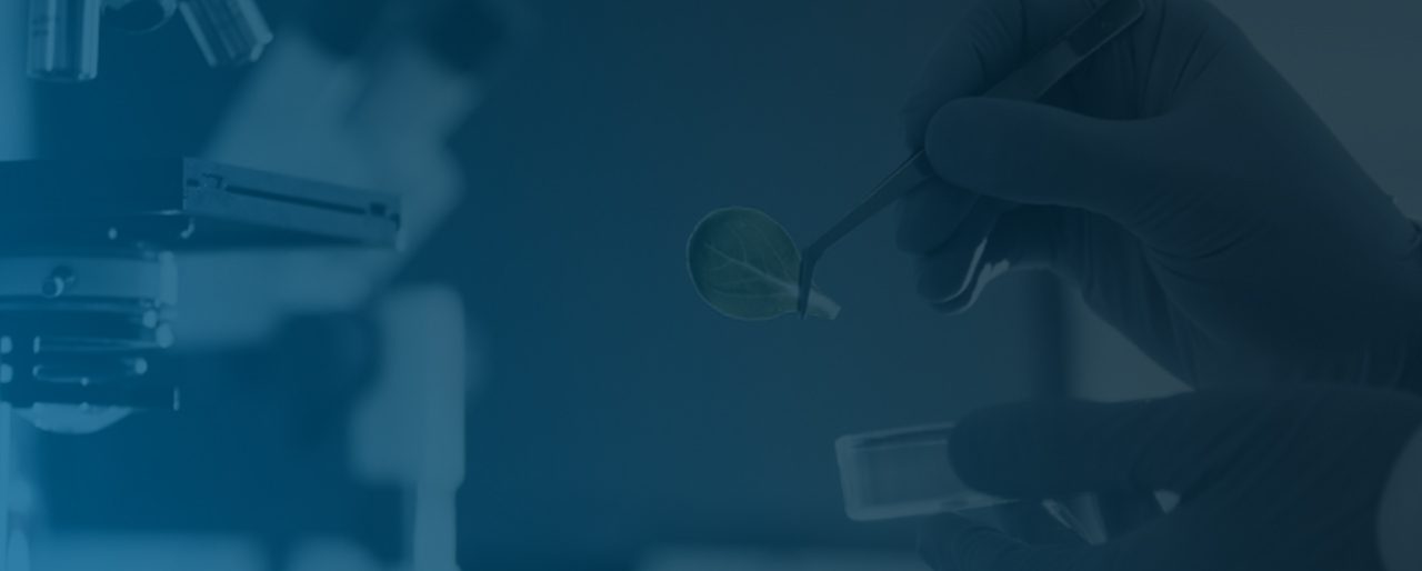 CEPTON soutient le developpement des biotechnologie en france